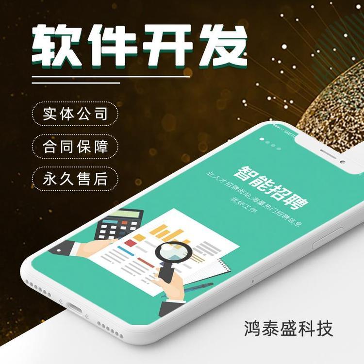 物联网一体化系统 智能软硬件开发 专属定制服务 鸿泰盛科技